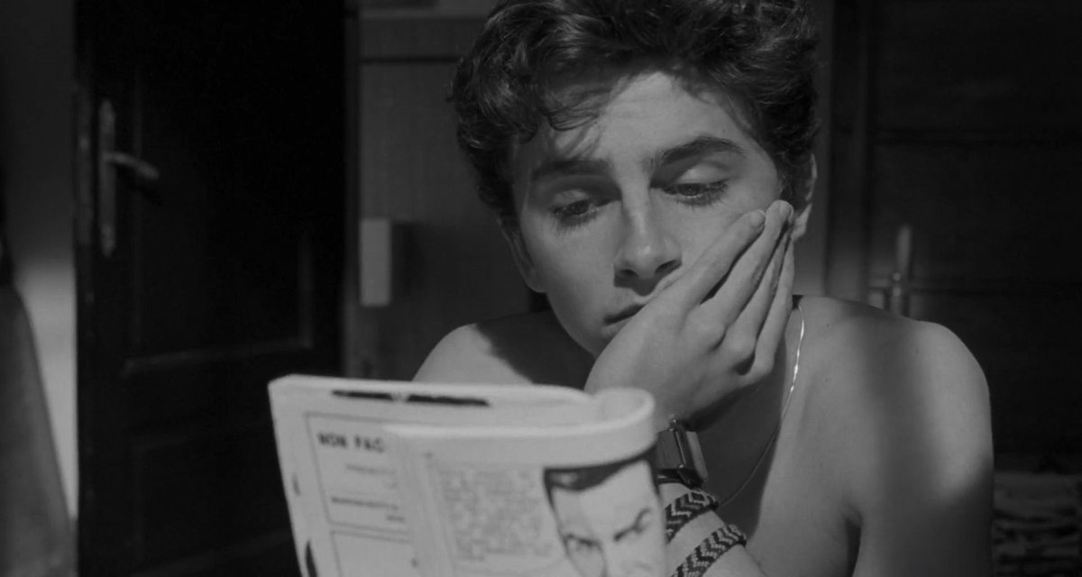 call me by your name tweet media