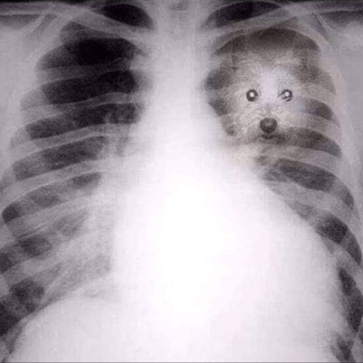 - Si le hicieran una radiografía a mi corazón.

.