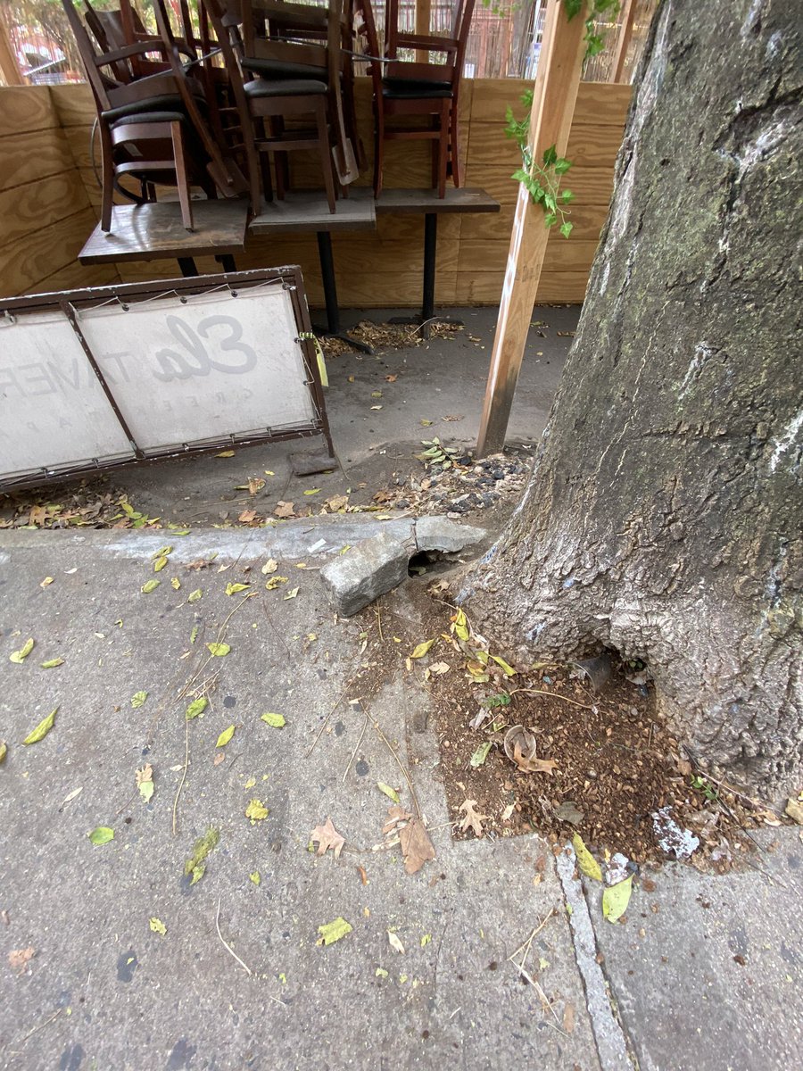 berrystalliance's tweet photo. What outdoor dining looks like in @NYC_DOT - charming ๐ตโ๐ซa street activated with rat infested standing water that never goes away, rats borough in tree pits, speakers amplify music outside & homeless sleep in sheds - all outside your door! #notparis #sunsetthesheds https://t.co/q0hGkFJcuj