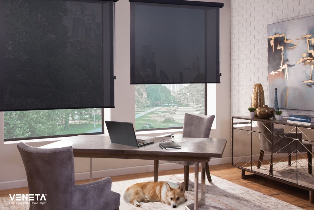 Working from home needs the right kind of shade. With solar screens, keep glare out of your home office for your and your four-legged coworkers' sakes. blinds.homedepot.com/p/veneta-desig…