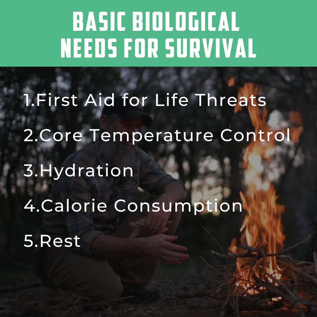 Gray Bearded Green Beret tweet media