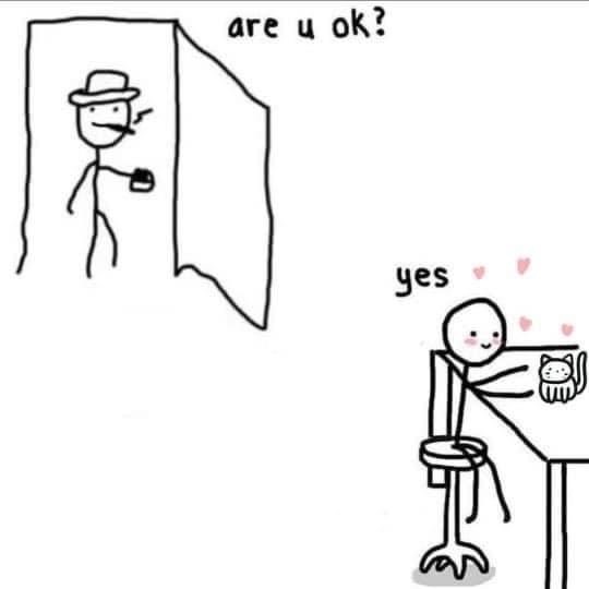 WholesomeMemes (@wholesomememe) on Twitter photo 