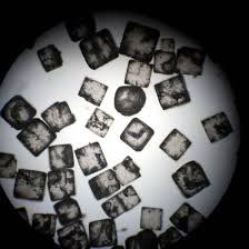 Enjoying the little things… I mean the REALLY little things during our microscope lab in 10 academic🔬