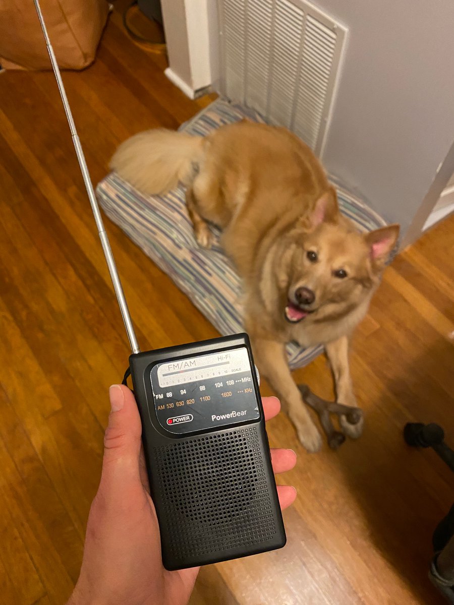 Marissa Heneghan tweet media