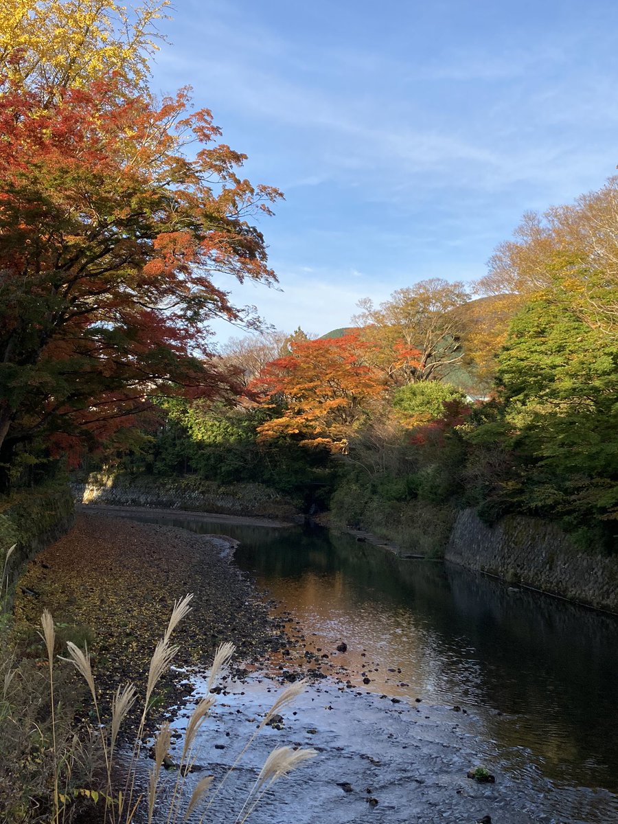 おはようございます😃
11月10日水曜日です。

仙石原の朝は晴れています☀️
紅葉もまだまだ楽しみですよ〜🍁
是非足を運んでくださいませ👋🚶🏻

今日、当店は定休日です。
良い一日を🍁🍂

#紅葉
#autumnleaves 
#nature 
#autumn 
#AutumnFalls 
#outdoors 
#hakone #beautifulview #musimgugur 
#japan