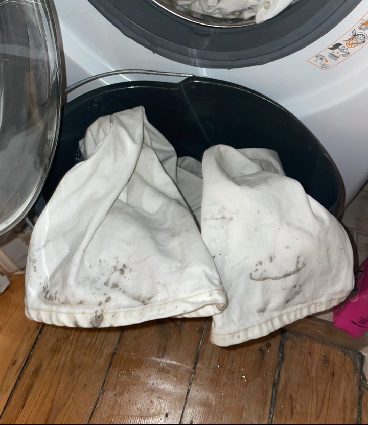 asdisliljao's tweet photo. í hvert sinn sem ég fer á djammið í hvítum buxum neyðist ég til að labba í gegnum mýri á leiðinni heim. alveg óþolandi en ég sem ekki reglurnar https://t.co/7CwG1YOuo8