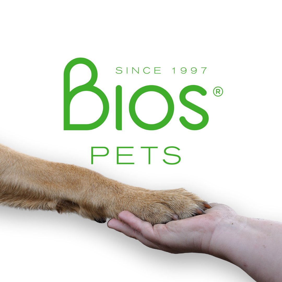 BiourneMx's tweet photo. Ahora, existe una forma natural de mantener
vivos los recuerdos de nuestros mejores amigos.
🍃🌳💚 Una forma natural de recordar y mantenerlos a
nuestro lado para siempre. Conoce más en
https://t.co/c1yWnfQMXs https://t.co/3UZ5ZR4TC6