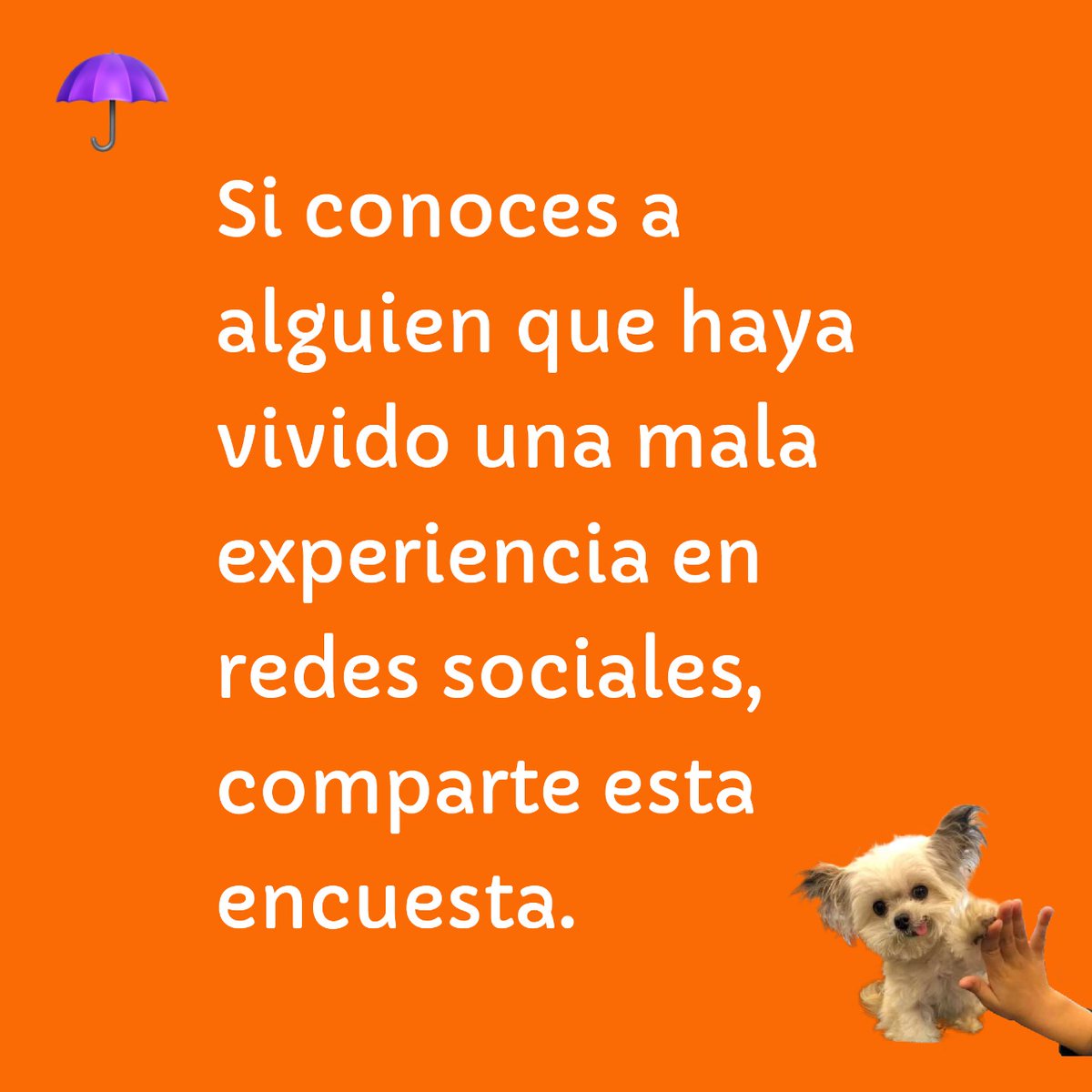 SINTRATA A.C. tweet media