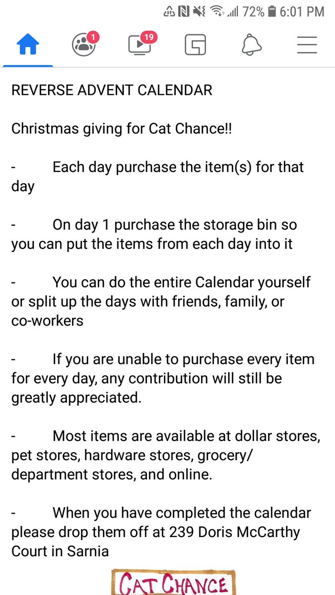 CatChanceSarnia's tweet photo. If you are able, please consider supporting Cat Chance (or your local rescue if you're not in the Sarnia, ON, Canada area) this Holiday season. ❤🐱🐾🎄 ⤵️ https://t.co/awWiUhArqD