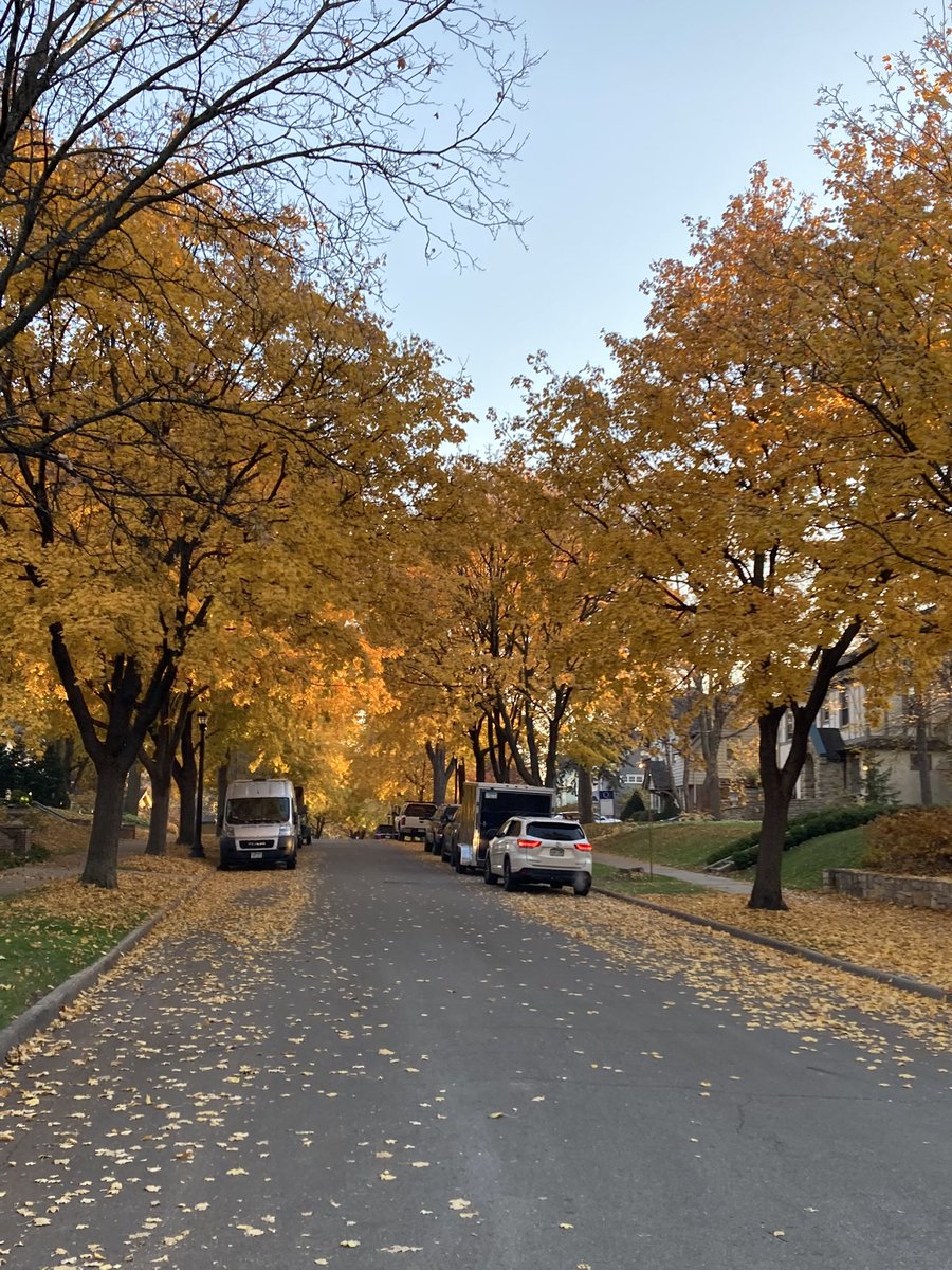 lpinbrez's tweet photo. Fleeting fall picturesβ¦#fallinminnesota https://t.co/vbtaQ7Lvr2