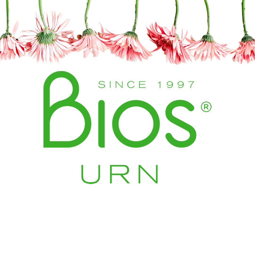 BiourneMx's tweet photo. En la historia del mundo y en las diferentes
culturas, existen varios rituales
relacionados con los funerales.
Con Urna Bios® te invitamos a tener
nuevos rituales llenos de amor, esperanza y VIDA. ✨ https://t.co/2AS59VwABL