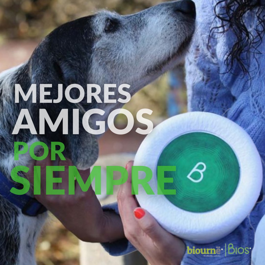 BiourneMx's tweet photo. Preparar una despedida nunca será fácil, sin
embargo, con Urna Bios® PETS, despedir a nuestras
mascotas puede ser una oportunidad de ver crecer un
árbol o planta honrando su recuerdo. 💚 https://t.co/WvER3MaOmR