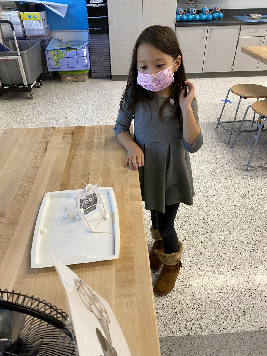 kcollazo's tweet photo. The Big Bad Wolf was no match for Ms. Robinson’s kinder engineers! They used the Design Process to build strong houses to protect their little pig! 🐷🐺#EngineerEarly #STEM @WagnerTonya @MCSDigital https://t.co/W9LAtPL3iu