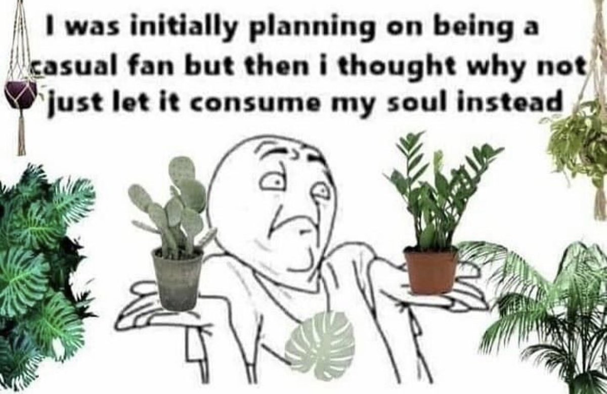 plantedpotco's tweet photo. 🤷🏽‍♀️🤷🏽‍♀️🤷🏽‍♀️🤷🏽‍♀️🤷🏽‍♀️ https://t.co/qzU7lZGC1g