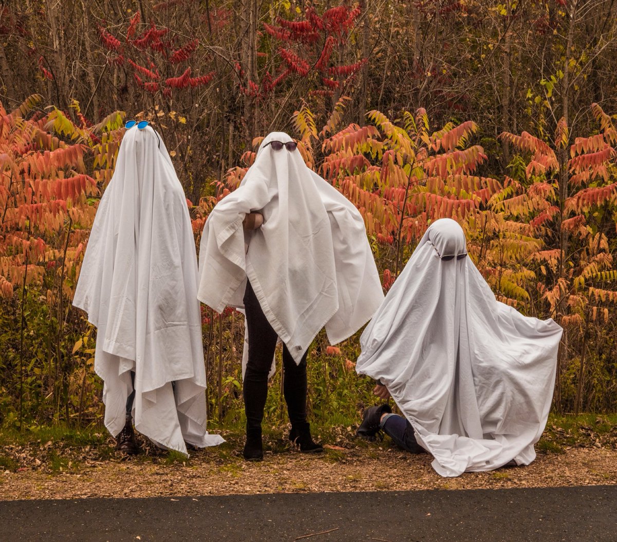 GhostSneezee's tweet photo. Halloween 2: Electric Bugaloo https://t.co/aHSrOxQq1b