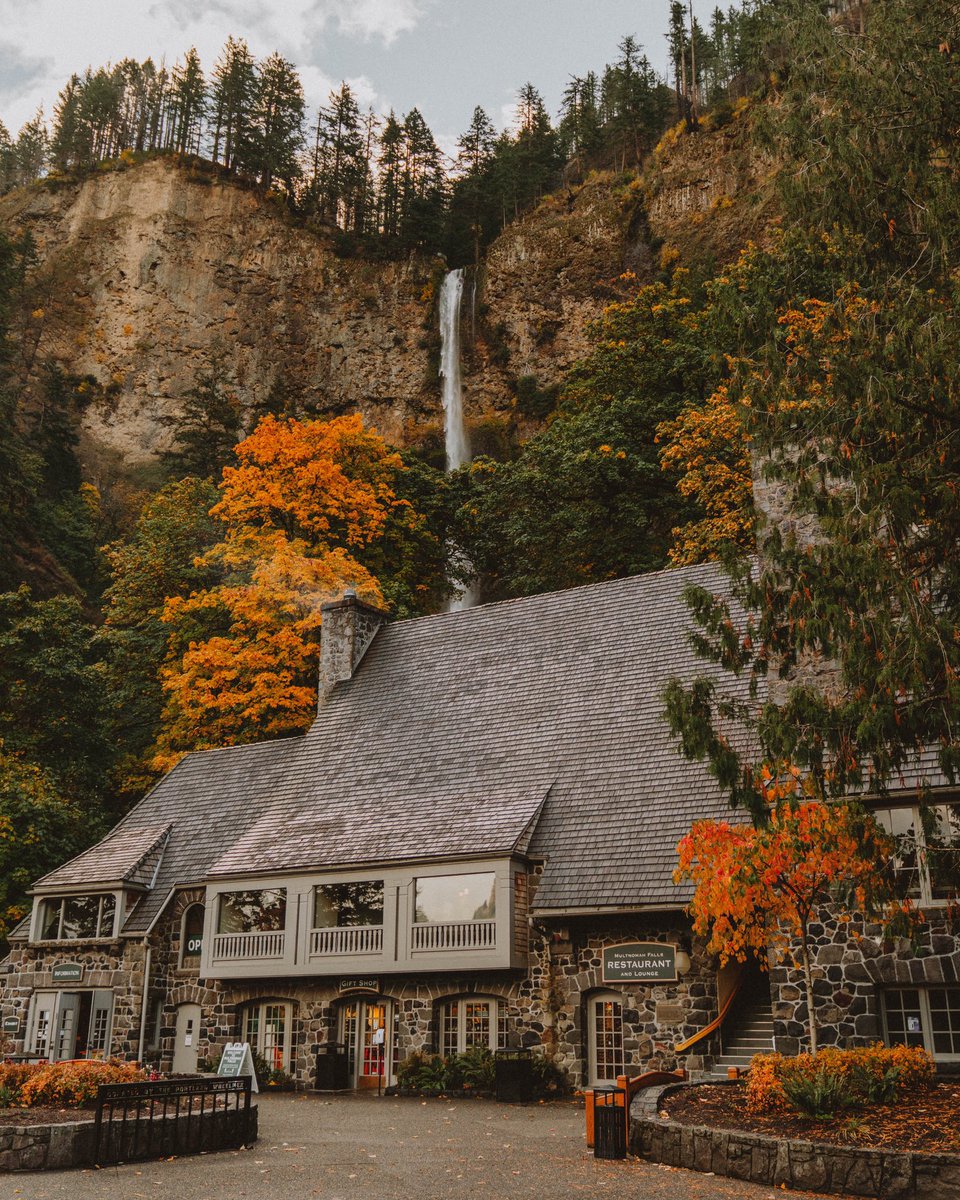 alanlopezlv's tweet photo. Oregon color https://t.co/jXfjZhkowY