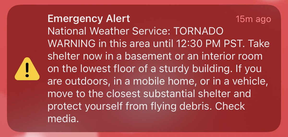 Phyllis Fletcher tweet media