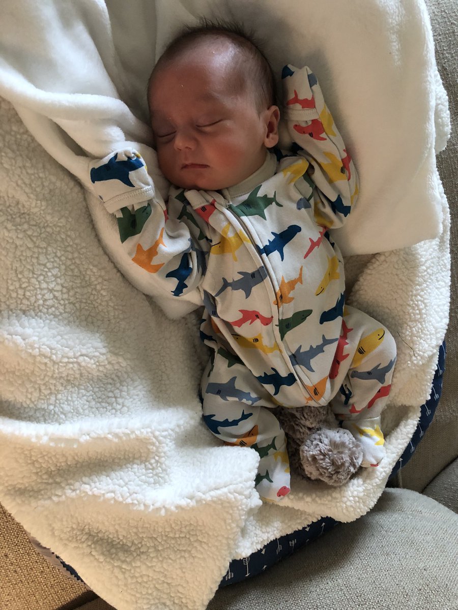 MadisonJenkins6's tweet photo. Baby boy. 💚 https://t.co/lscxbaEesZ
