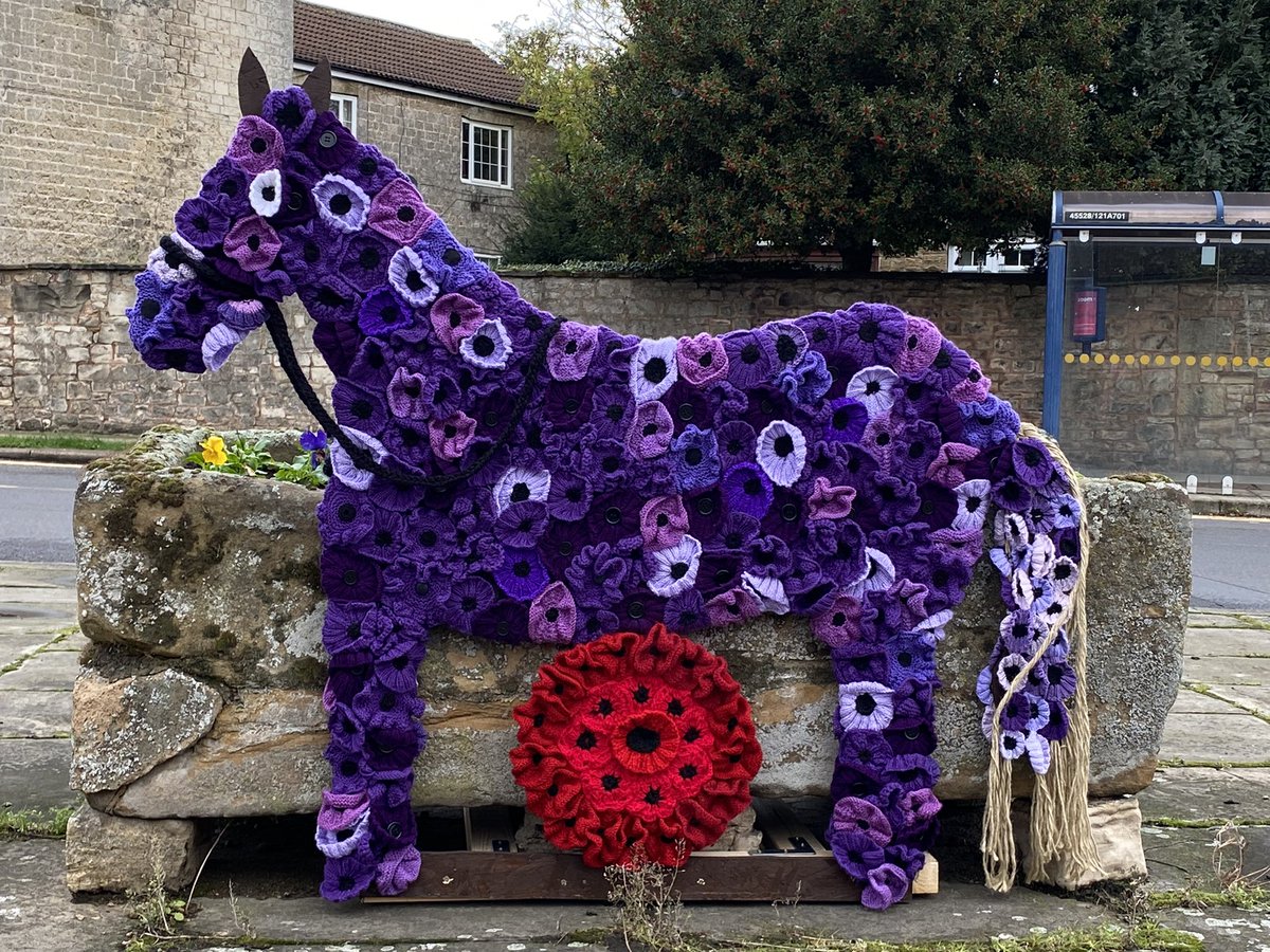 paulamickley's tweet photo. @DarrenBurkeSYN there are some amazing poppy displays in Tickhill, any chance of some interest from Doncaster Free Press? https://t.co/Sp9xee4ZXA