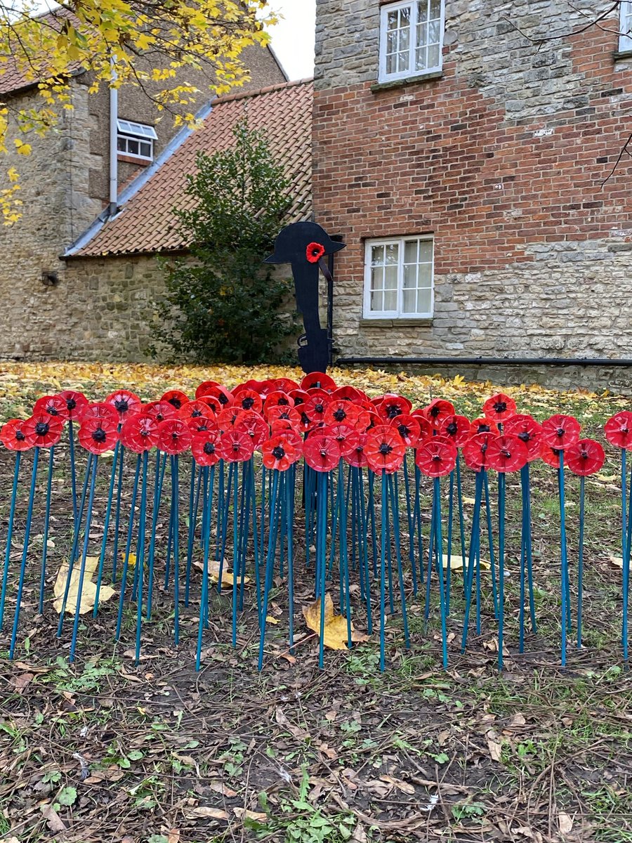 paulamickley's tweet photo. @DarrenBurkeSYN there are some amazing poppy displays in Tickhill, any chance of some interest from Doncaster Free Press? https://t.co/Sp9xee4ZXA