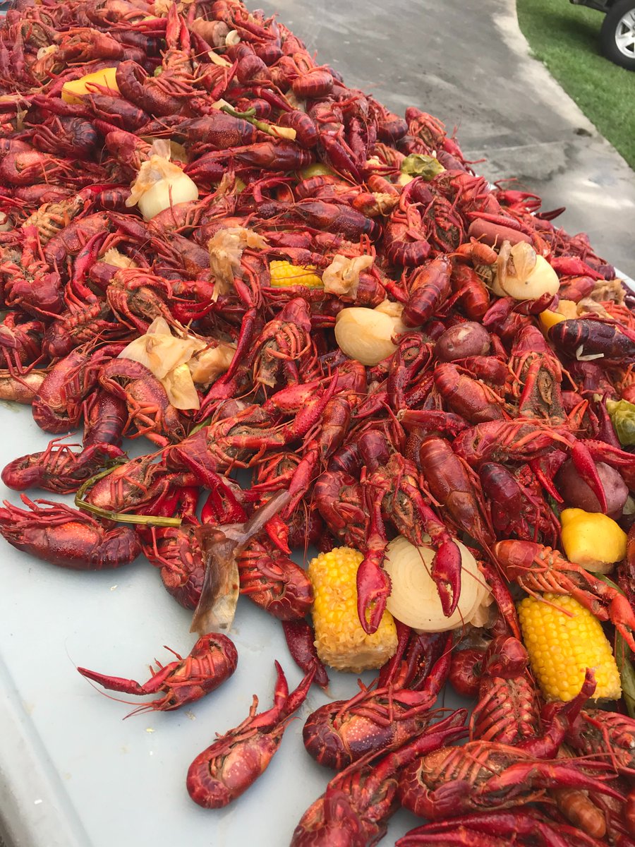 mackidnewiberia's tweet photo. Celebrating #NationalLouisianaDay with a few favorite memories! #crawfish #zydeco #mardigras #bayous #newiberia #mackidnewiberia #cajun #creole #nolagirl https://t.co/g0WKSHXtxp