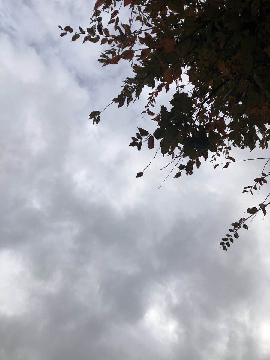 furii_jp's tweet photo. おはようございます。
今朝の東京は、すっきりしないお天気☁️

週の真ん中水曜日
今日も頑張りましょう👍

#企業公式が毎朝地元の天気を言い合う
#企業公式秋のフォロー祭り 
#企業公式相互フォロー
#がんばろう企業公式 https://t.co/iDyKnwNcSK