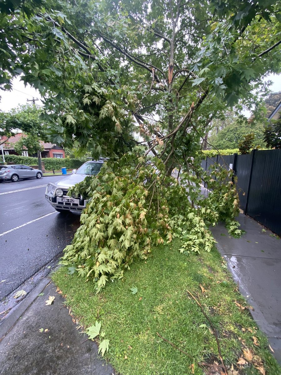 RobLayton_'s tweet image. Excellent service from City of @Boroondara . Snapped pictures of dangerous branch about to fall on nature strip after the storms, called last week and again yesterday to get something done urgently and now it’s fallen on someone’s ute. Great work. 👏