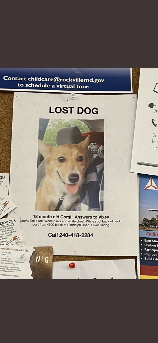 RemingtonMoe's tweet photo. Any help dog friends? https://t.co/s5YQoynF0h