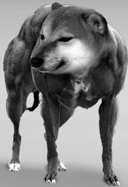 Cheems_Guevara's tweet photo. this guy walks up to your girl and slaps her ass, wyd #gigacheems #Cheems #cheemscoin #cheemstoken #solana #memecoin @theCheemsToken https://t.co/kDIZfBkJjQ