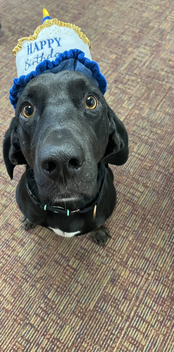 Cori Meyer tweet media