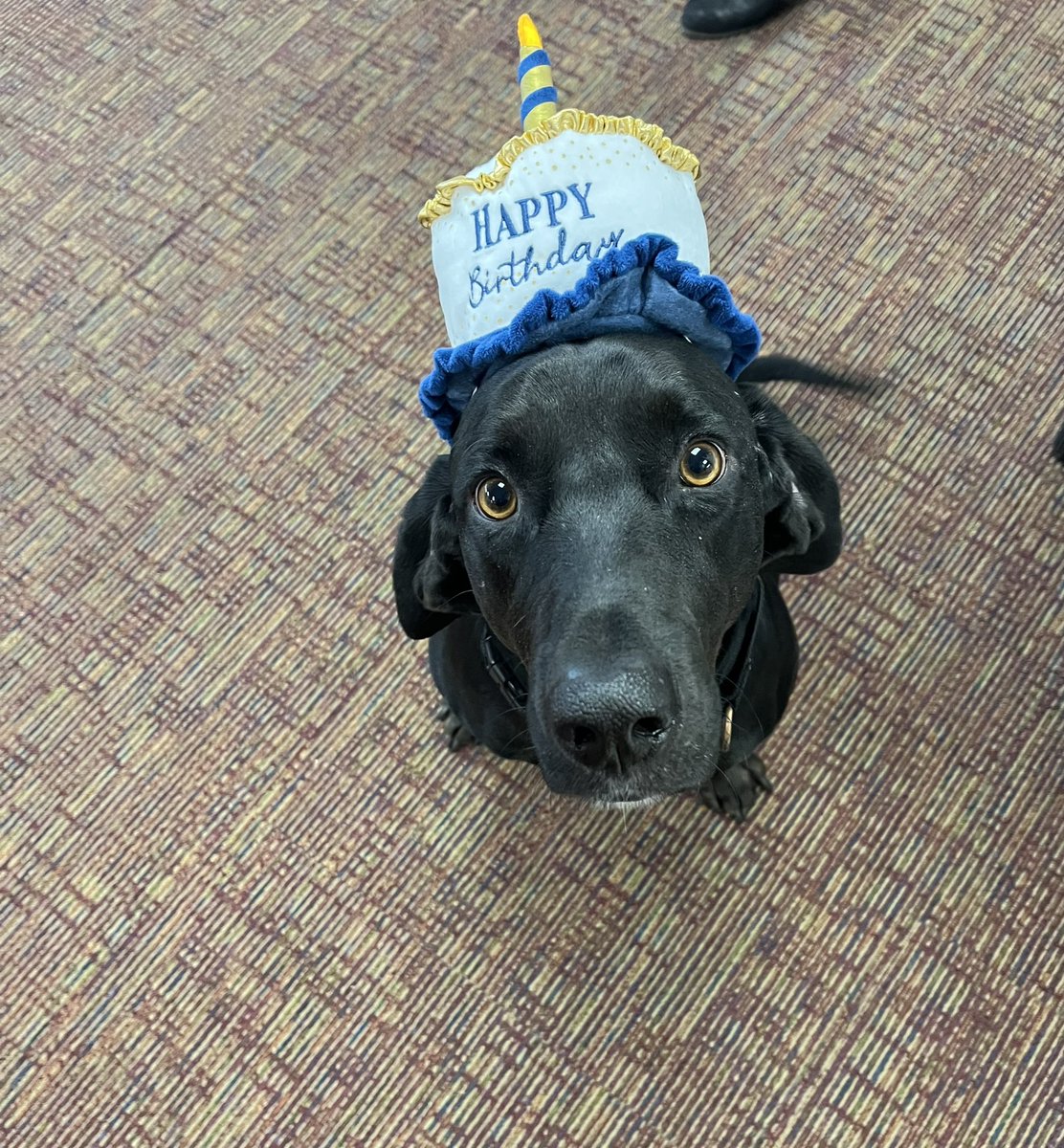 Cori Meyer tweet media