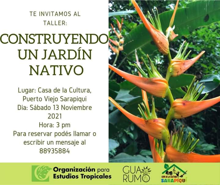 Guarumo Restauración Ecológica tweet media