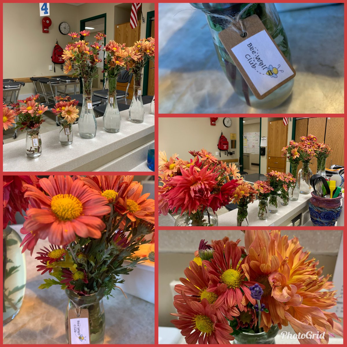 The <a href="/CBHolicongMS/">CB Holicong MS</a> Bee Well Club has been spreading some beauty the past few weeks to our staff. Thanks to <a href="/theVogelman/">Brett Vogelsinger</a> and our students who planted and maintained our garden all year. Can’t wait to plan and start our next season.