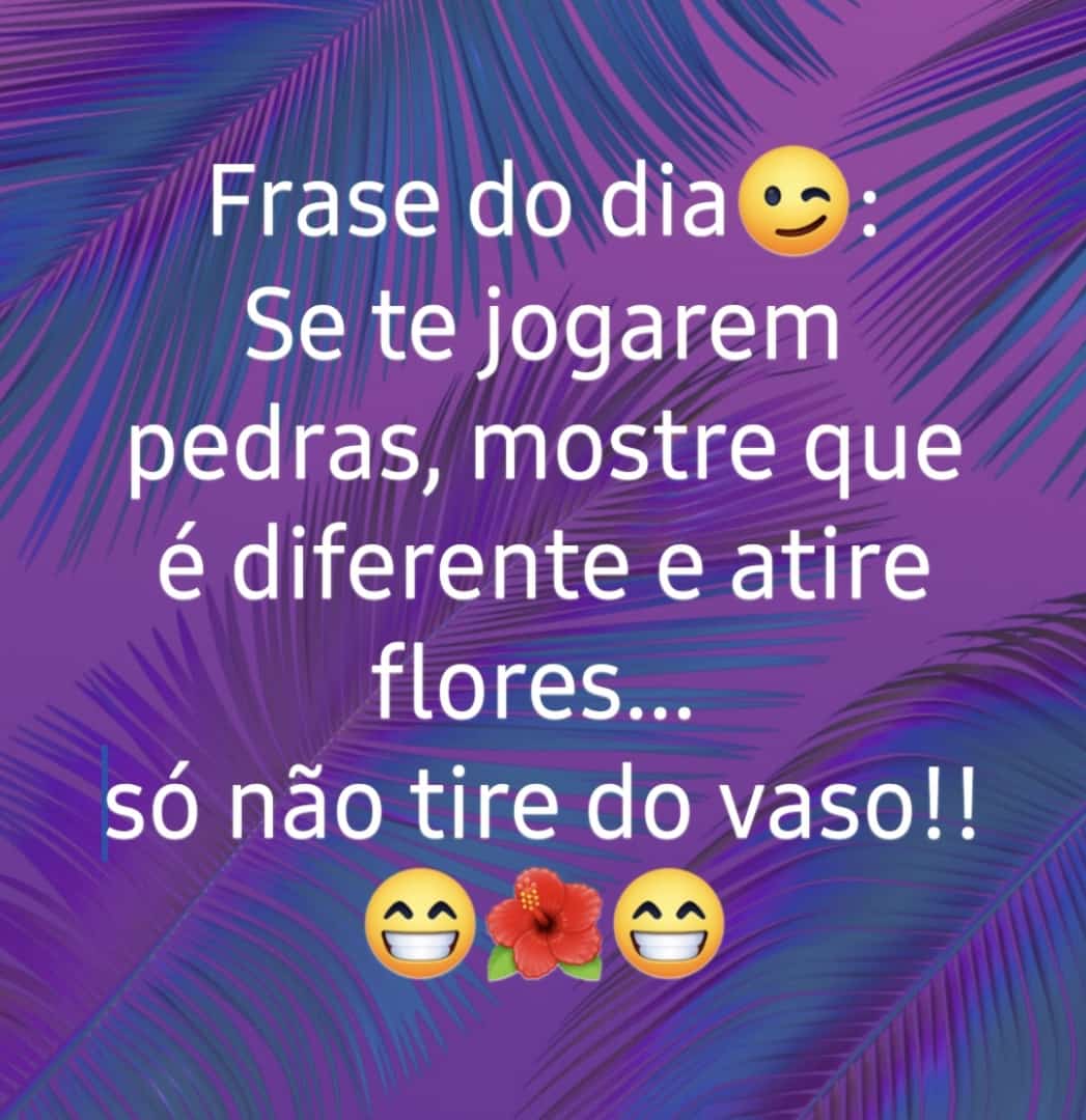 romano_nery's tweet photo. https://t.co/P6aZz0pqKO