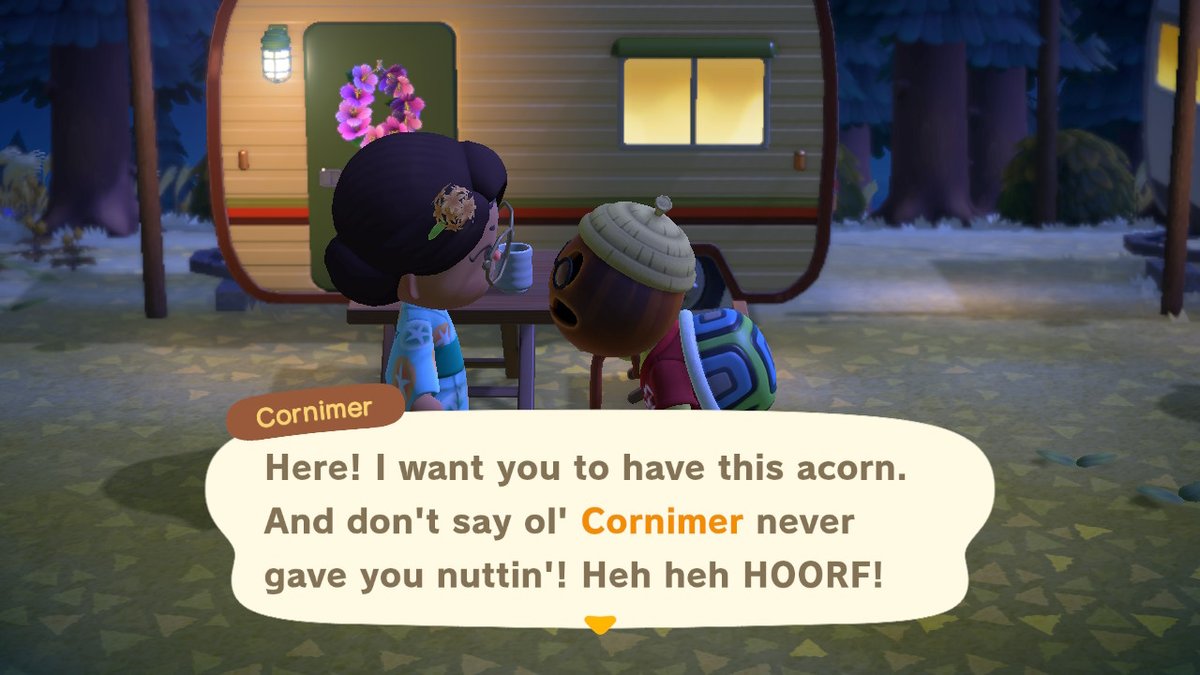 brevacrossing's tweet photo. met cornimer and katrina today :) #AnimalCrossing #ACNH #NintendoSwitch https://t.co/ViK3gVBEx2