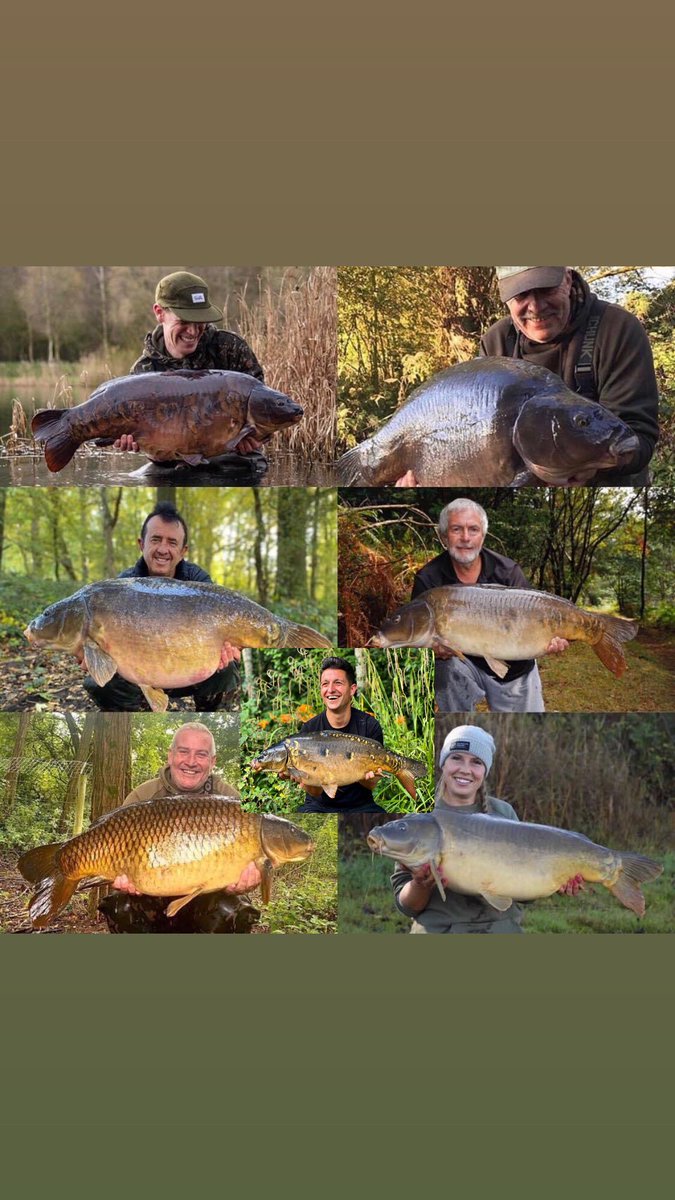 biteoutofcancer's tweet photo. The line up for the big talk 27th November Doncaster’s holiday inn A1m
All in aid of @CR_UK  an event not to be missed . Will you be going #fishingevent #thebigtalk
#carpfishing
#fishing #nashtackle
#foxint https://t.co/RKeat7Q2M2