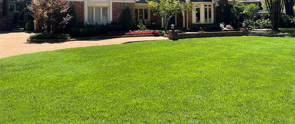 PPLANDSCAPES's tweet image. By enrolling in our fertilization program, you&apos;re signing up for #YearRoundProtection.  Unlike other companies, our organic-based liquid treatments are applied all the way into the winter months. 📅

Act fast and give us a call today! 💨

☎️(901) 446-0567

pictureperfectlandscapes.com/fertilization/