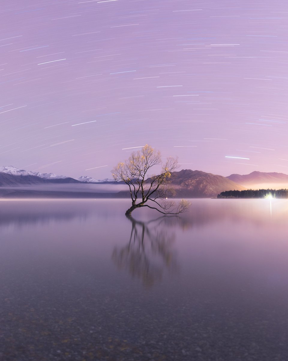 A special tree, throughout the seasons 🌳​

#ifykyk  #thatwanakatree #NewZealand