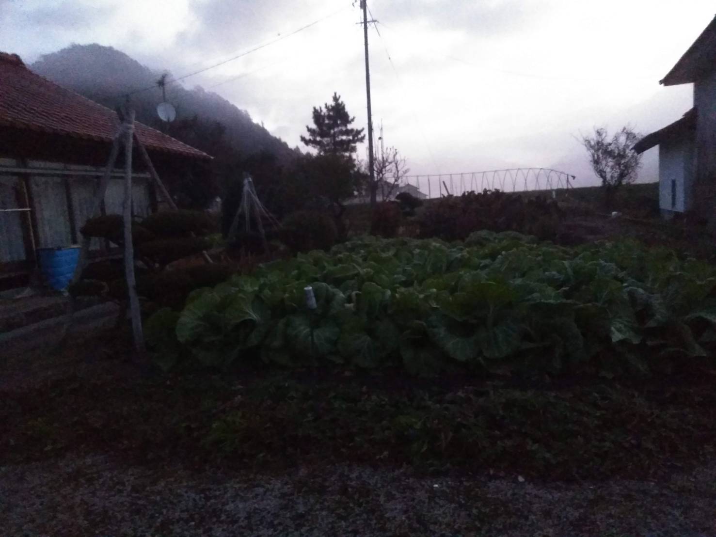 郷愁 Twitter Search Twitter