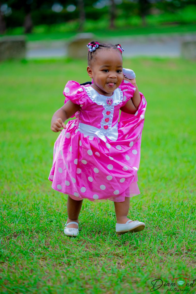 StefanoDiamond1's tweet photo. It's #babyDiamond's birthday 
Twoodles #babyReigny https://t.co/VhlzUDdVTp