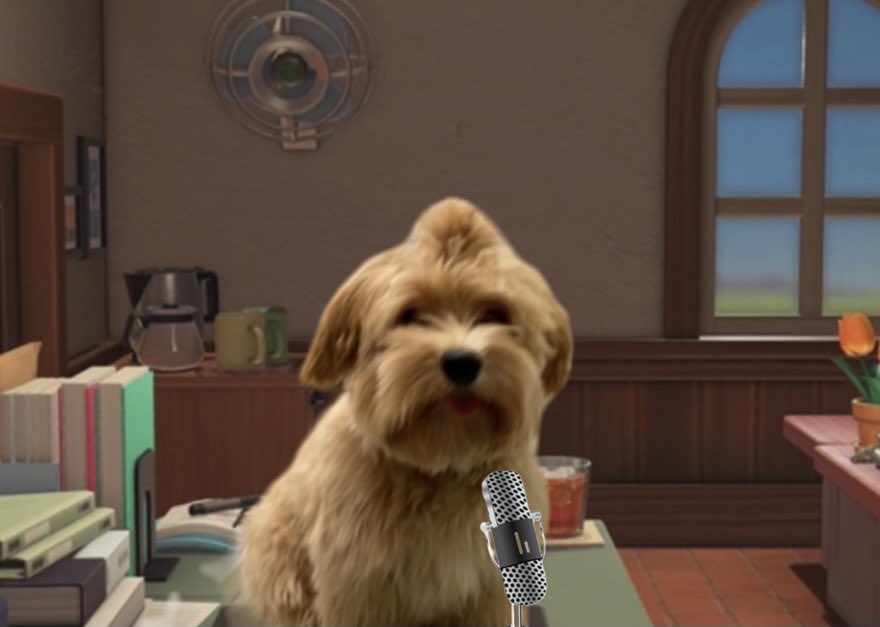 Good morning, everyone!
#AnimalCrossingNewHorizions #isabelle