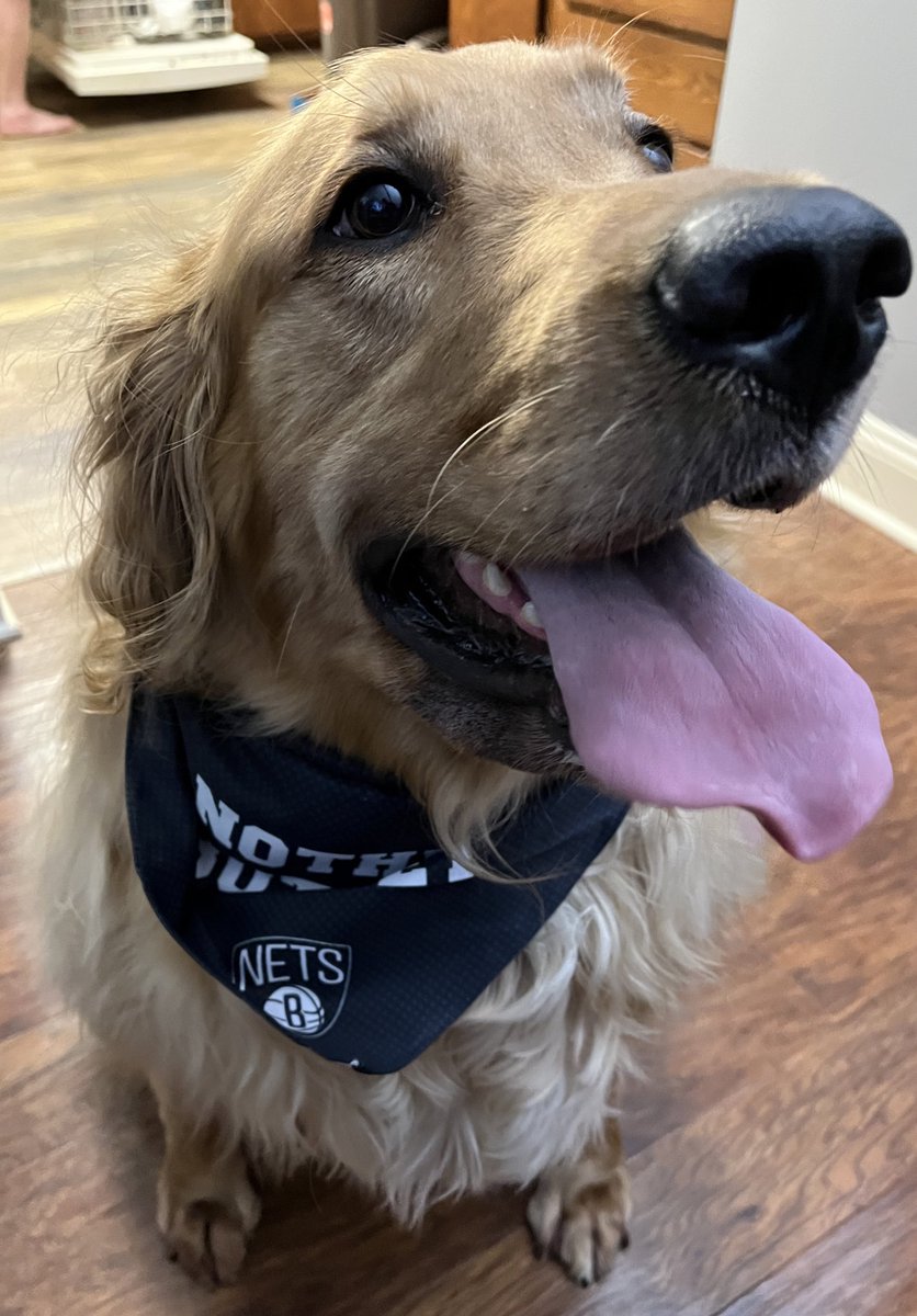 Katie_Loki_'s tweet image. Thank you @barkbox for this very cute @BrooklynNets box. Now Loki and I can match 🥰 #GoNets 🏀