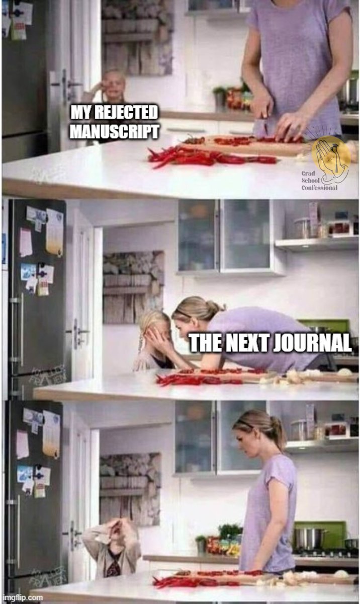 thenichepodcast's tweet image. The "regret to inform", it burns!

@OpenAcademics @AcademicChatter #phdfriend #phdchat @TheStrugglingS4 @PhDVoice #phdmeme #gradschool #AcademicTwitter #PhD