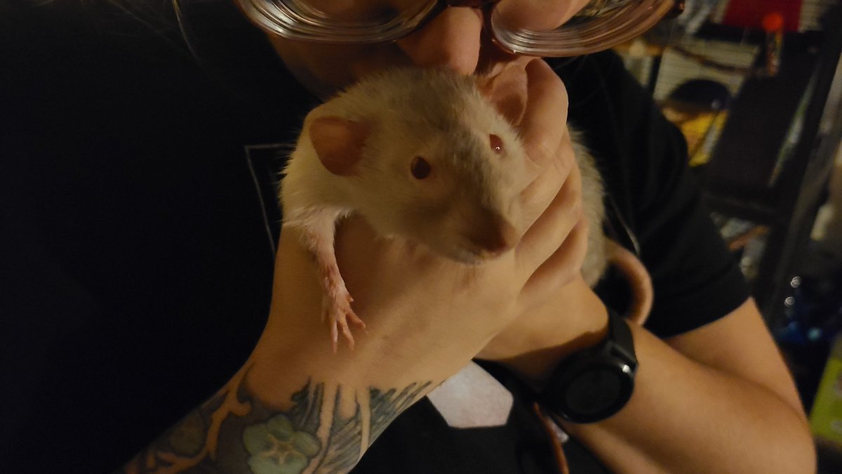 AmandaEloquent's tweet photo. Goodnight little prince, Manny the bond I share with you will always be special to me because it was hard won. You made me work for your trust and I will never be able to repay you for the gift of being your mom. It was and always will be an honor. I miss you already -❤mom https://t.co/UUx6vQgUjb