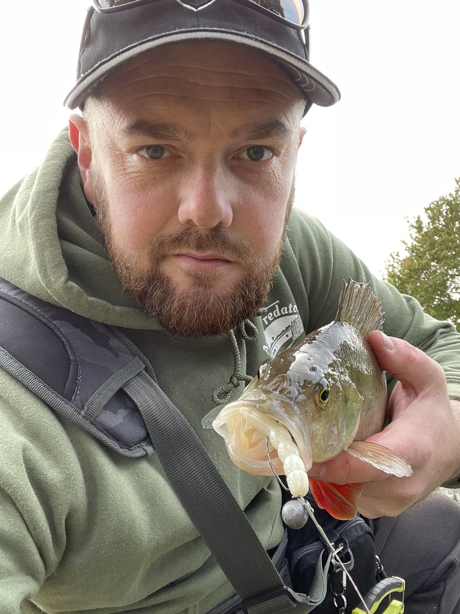 ABPredatorFish1's tweet photo. Nice little crazy perch ended up in the net… 
#TwitterNatureCommunity #angling #canal #perch #fishing #outdoors #NaturePhotography #FYP #GH #TwitterNatureCommunity #Twitter https://t.co/fvfmhcKHj1