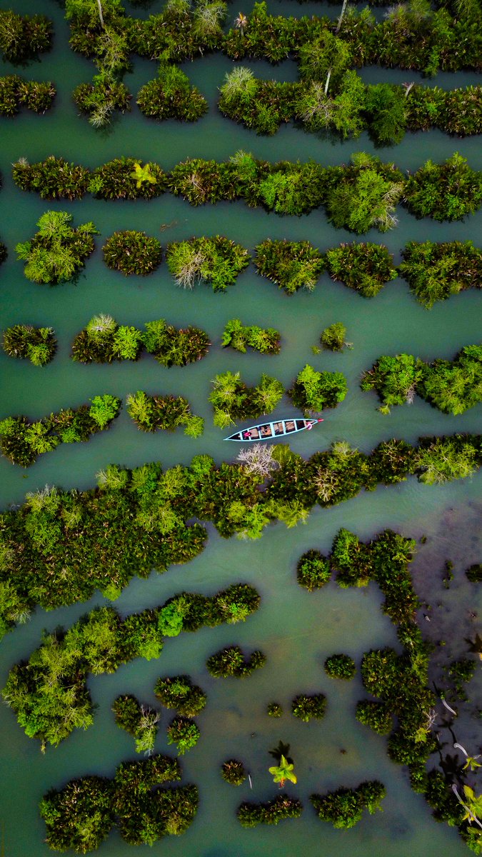 KeralaTourism's tweet photo. This sure looks like one of the ‘Find the way to your home’ puzzles! Don't you agree? #WednesdayVibes #Nature #KeralaTourism 

📍 Munroe Island
© Unni Murali https://t.co/Z1JE18vUxJ