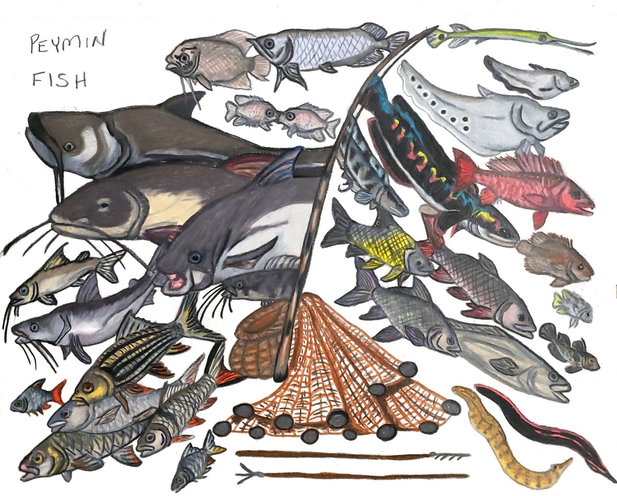 anthro_andrew's tweet photo. And that's a wrap! 31 species of fish are portrayed on this panel, all of them chosen because they're important for human consumption and it does not take much imagination to think that they would've been important in the past, too! Fish are a great source of dietary protein. https://t.co/xkikDY68p9
