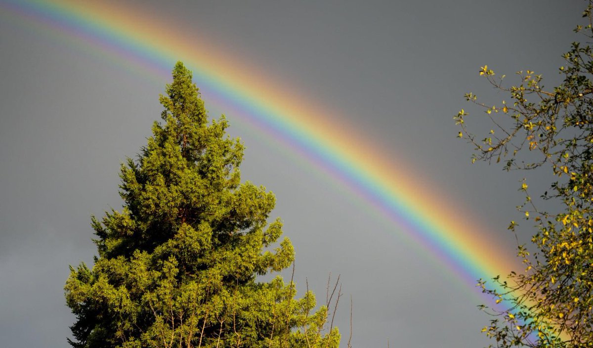 Tyler Mode tweet media