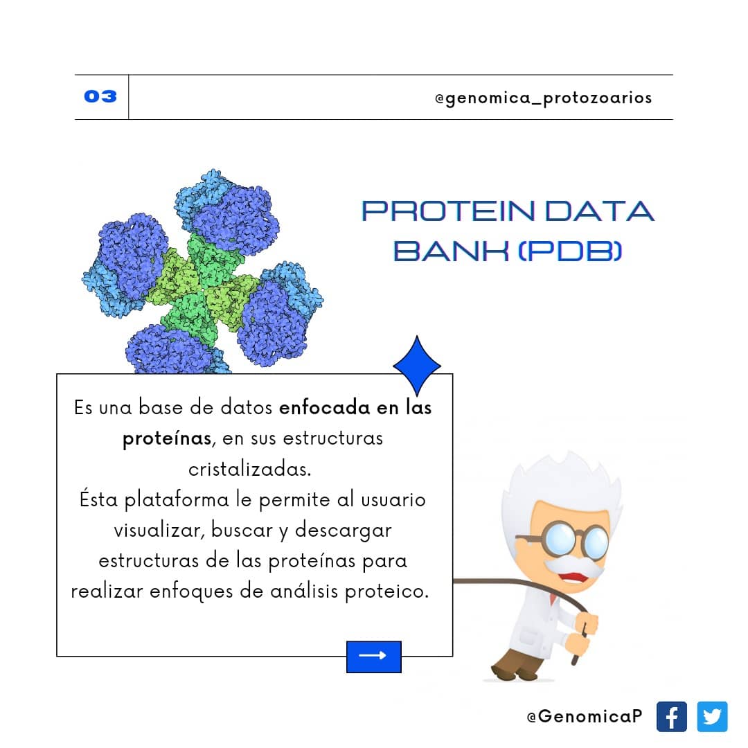 GenomicaP's tweet photo. 👉🏼 Hoy te traemos algunas bases de datos biológicas que deberías conocer que aún sin se bioinformático podrían servirte. Todas de acceso libre. Conócelas!! 👀👩‍💻

Fuentes: (Alcalde, 2016).
NCBI/ ISCIII/ PDB
#bioinformatic #databases #software #freeaccess #science #research #ncbi https://t.co/e55VcgRdKF