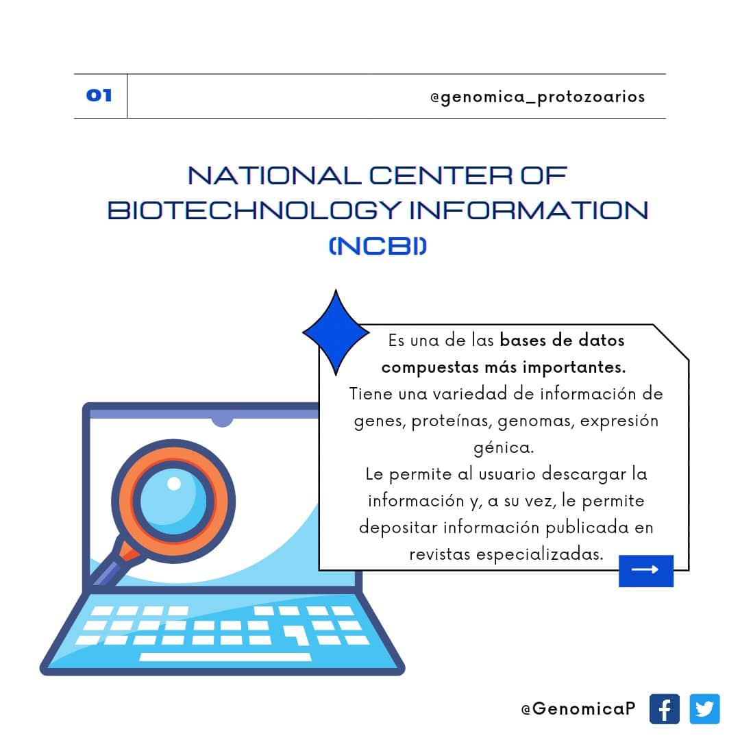 GenomicaP's tweet photo. 👉🏼 Hoy te traemos algunas bases de datos biológicas que deberías conocer que aún sin se bioinformático podrían servirte. Todas de acceso libre. Conócelas!! 👀👩‍💻

Fuentes: (Alcalde, 2016).
NCBI/ ISCIII/ PDB
#bioinformatic #databases #software #freeaccess #science #research #ncbi https://t.co/e55VcgRdKF